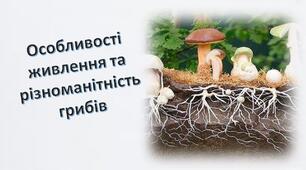 Особливості живлення та різноманітність грибів