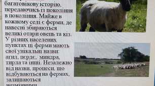 Дослідницька робота «Культура традиційного  вівчарства  Бессарабії  »