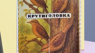 Лепбук "Крутиголовка - птах року 2025"