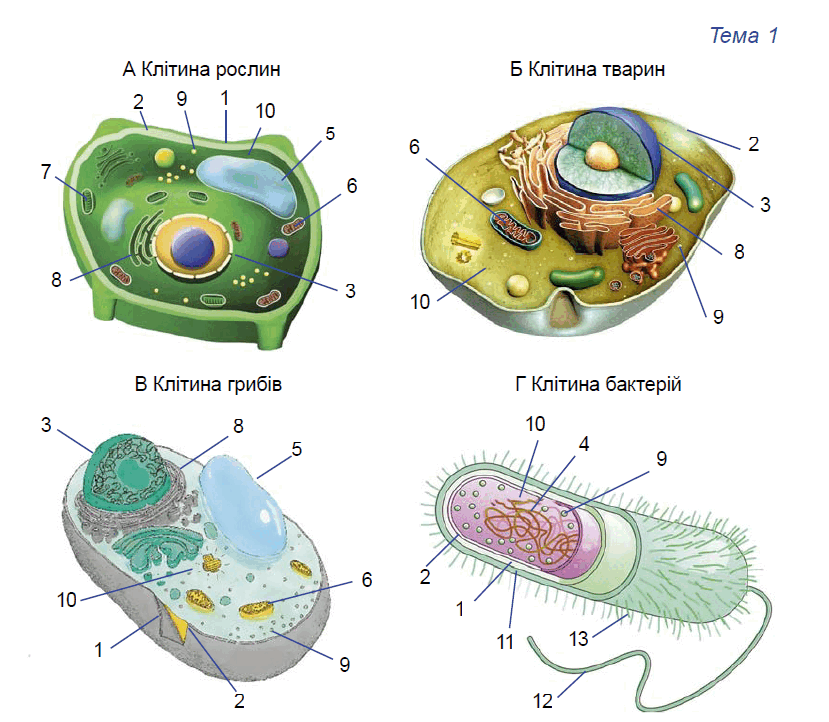 0801fe5g-7bcd-829x722.png