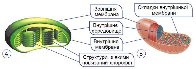 0801fe9m-4e13-774x273.png