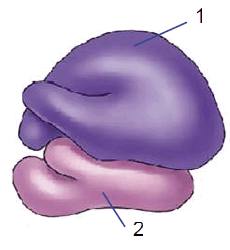 0801feam-3dbb-230x250.png