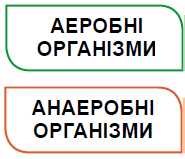 0801feay-9166-185x159.png