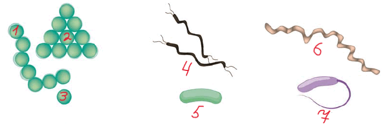 0801feco-d0ed-758x247.png