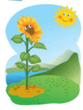 0801firr-6d15-170x225.png