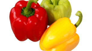 Flashcards "Vegetables"