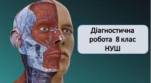 Діагностична робота з теми "Вступ, організм людини, як біологічна система" для учнів 8 класів НУШ (Група результатів 1 Досліджує природу)