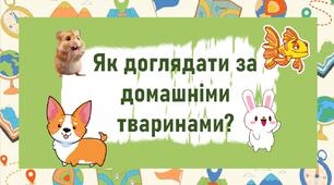Як доглядати за домашніми тваринами?