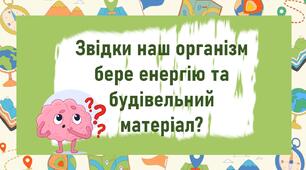 Звідки наш організм бере енергію та будівельний матеріал?