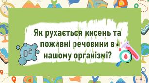 Як рухається кисень та поживні речовини в нашому організмі?