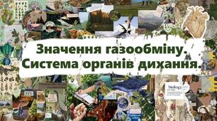 Значення газообміну. Система органів дихання