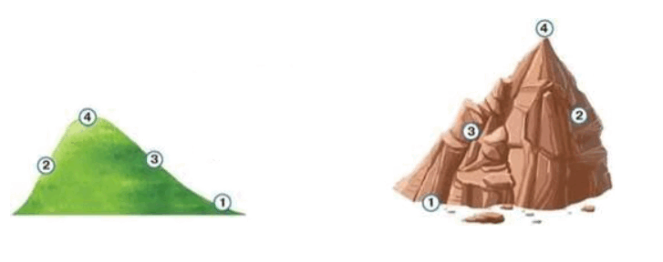 0801fnuu-0582-727x288.png
