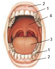 0801fpm8-ab56-186x230.png