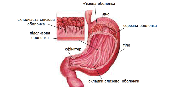 0801fpyt-5ed6-571x298.png