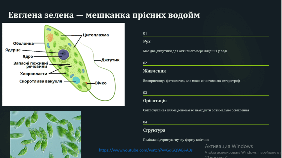 0801frcj-3b86-940x527.png