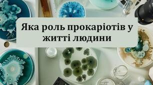 Значення прокаріотів для людини