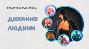8 клас НУШ. Дихання людини