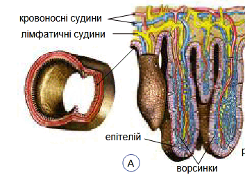 0801fsi2-3e93-353x252.png