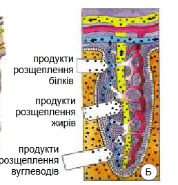 0801fsi4-b6d7-258x268.png