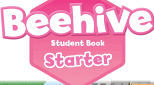 Презентації до уроків англійської мови за підручником Beehive Starter.Unite 1(lesson 1-6)