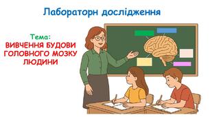 Презентація з біології 8 клас НУШ: ВИВЧЕННЯ БУДОВИ ГОЛОВНОГО МОЗКУ ЛЮДИНИ (за муляжами, моделями, пластинчастими препаратами, анімаціями).