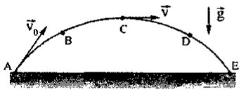0801fw5w-0413-340x131.png