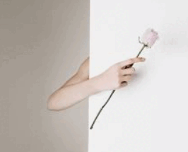 0801fx1m-cece-266x215.png