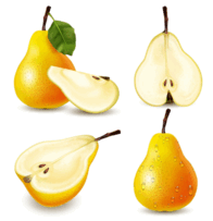 0801fx56-b98f-196x203.png