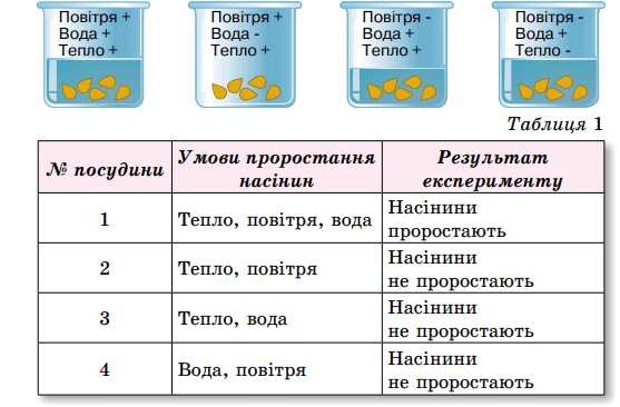 0801g0ab-1ffa-557x366.png
