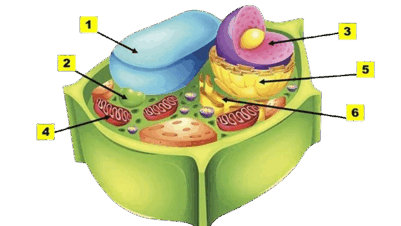 0801g3cl-5f55-401x226.png