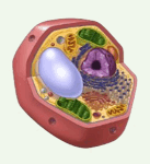 0801g3ov-e05e-203x222.png