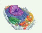 0801g3pc-2a53-212x170.png
