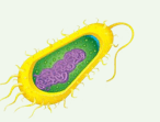 0801g3pp-eb0f-227x173.png