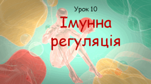 Презентація до уроку "Імунна регуляція". Біологія, 8 клас НУШ за підр. Соболь В.І..