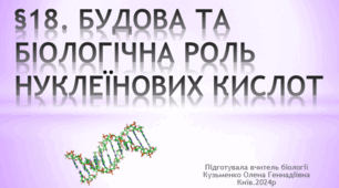 §18. БУДОВА ТА БІОЛОГІЧНА РОЛЬ НУКЛЕЇНОВИХ КИСЛОТ