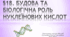 §18. БУДОВА ТА БІОЛОГІЧНА РОЛЬ НУКЛЕЇНОВИХ КИСЛОТ