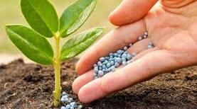 THE SOIL CULTIVATION AND FERTILIZING