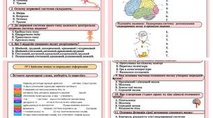 Діагностична контрольна робота 📚👩‍🏫 Тема: «Регуляторні системи організму людини» 8 клас 🧠(підручник Балан) з відповідями для вчителя.  За 3 групами результатів.