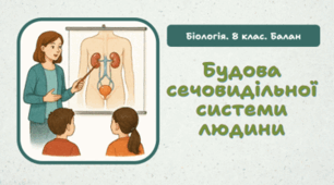 Будова сечовидільної системи людини.8 клас НУШ. 