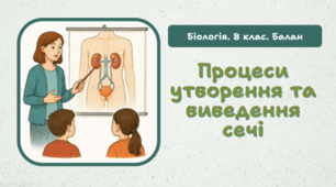 8 клас НУШ.Процеси утворення та виведення сечі