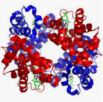 0801gnbr-886c-148x147.png
