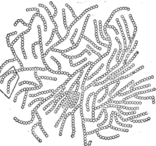 0801gncb-eea3-222x207.png