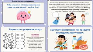 Головний мозок людини: передній мозок