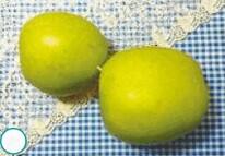 0801gqgu-c02d-206x143.jpg