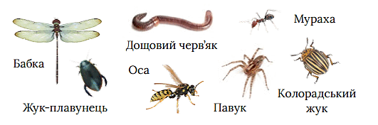 0801guh6-3a27-531x176.png