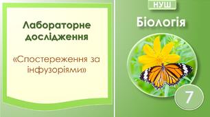 Лабораторне дослідження "Спостереження за інфузоріями". Біологія 7 клас НУШ