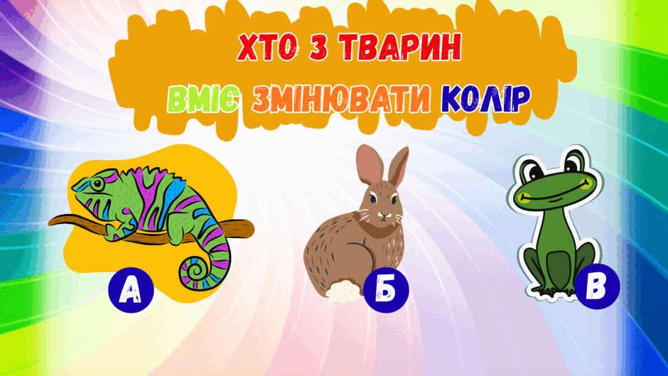 0801h0wf-0681-940x529.png