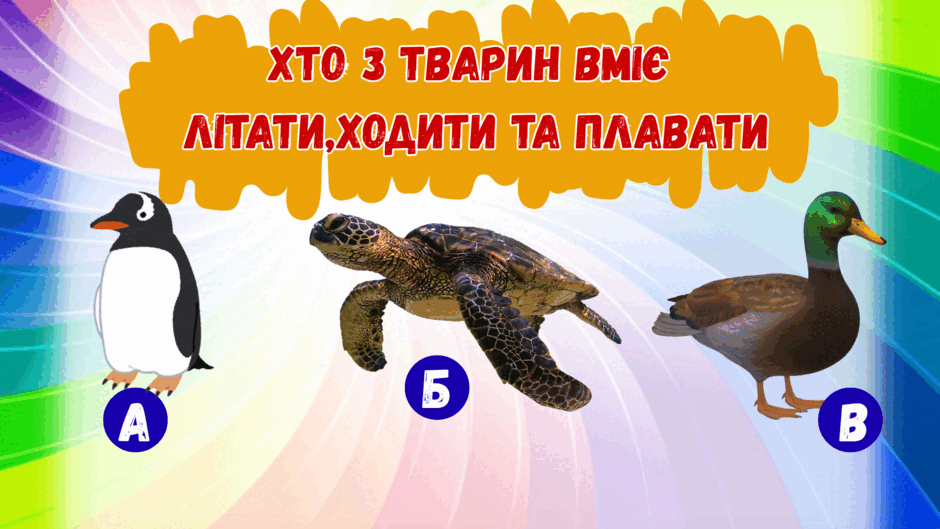 0801h1ie-72bb-940x529.png