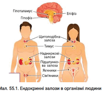 0801h1oh-c2c9-359x319.png