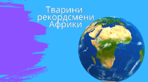 Презентація "Тварини-рекордсмени Африки"